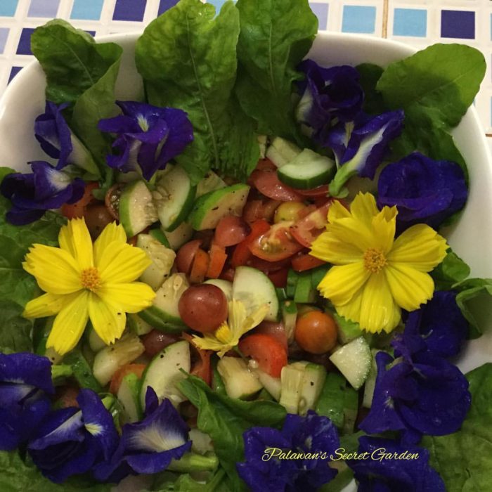 vegetable salad with edible flowers