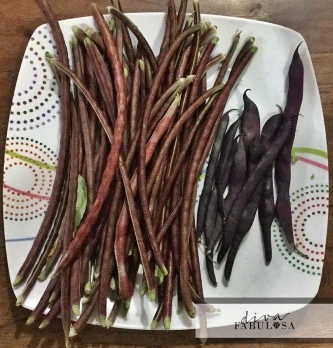 purple beans or legumes